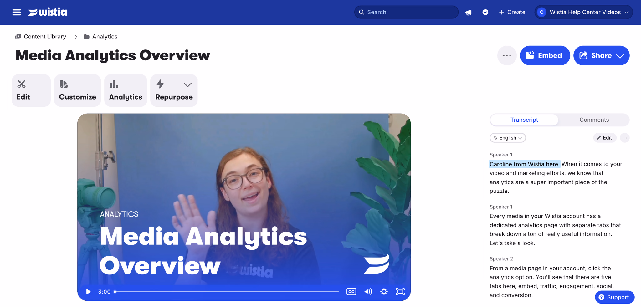 Media page with player, transcript and analytics controls