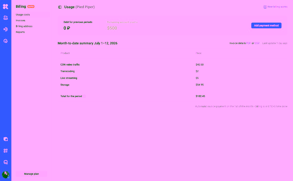 Usage dashboard showing storage and delivery by month