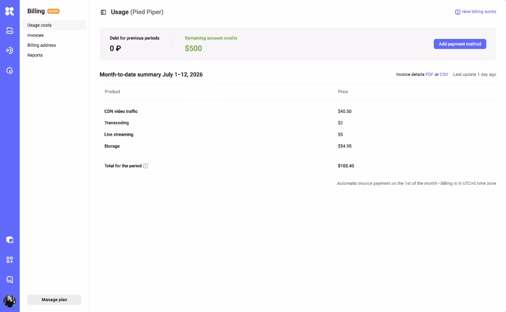 Usage dashboard showing storage and delivery by month