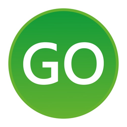 GO 4 Schools logo